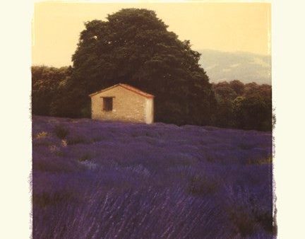 Lavender Country Online now