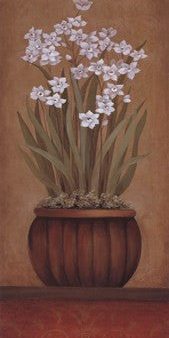 Paperwhites I - petite Cheap