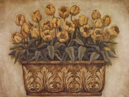 Yellow Tulips Online