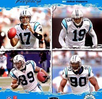 2006 - Panthers  Big 4  For Discount