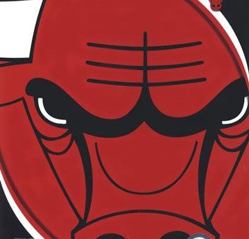 Chicago Bulls Team Logo Sale