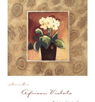 African Violets Online Sale