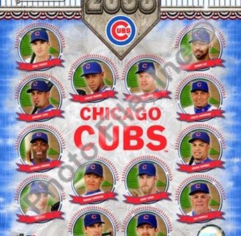 2008 Chicago Cubs Team Composite Hot on Sale