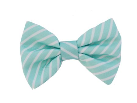 Moo+Twig Shirt Harness Bowtie (Mint Stripes) Fashion